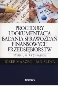 Procedury i dokumentacja badania sprawozda...