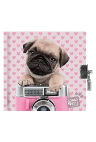 Paso Pami�tnik z k��dk� Studio Pets