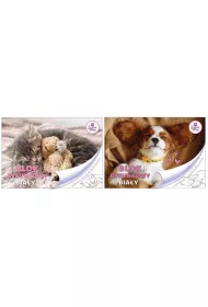 Beniamin Blok rysunkowy A4 The Sweet Pets biay 20 kartek