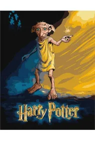 Ideyka Malowanie po numerach - Harry Potter plakat 40x50