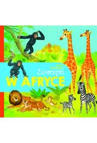 Zwierz�ta w Afryce
