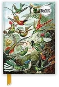 Flame Tree Notatnik A5 g�adki TW Kolibry Ernst Haeckel