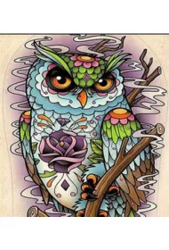 Norimpex Diamentowa mozaika - Sowa z rysunkami kwiat�w abstrakcja 30x40cm