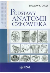 Podstawy anatomii cz�owieka