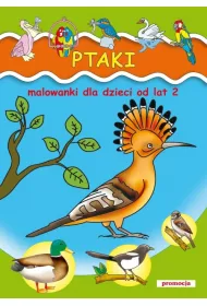 Ptaki malowanki dla dzieci od lat 2