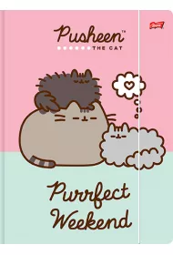 Teczka z gumk A4 Pusheen