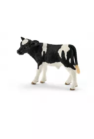 Ciel� rasy Holstein