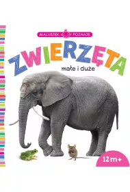 Maluszek poznaje. Zwierz�ta ma�e i du�e