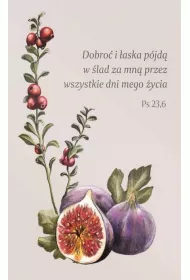 Szaron Magnes na lod�wk� - Dobro� i �aska