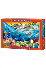 Puzzle 1000 el. Dolphins in the Tropics Castorland