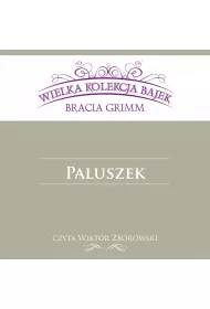Audiobook Paluszek mp3