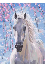 Twoje Hobby Malowanie po numerach - Magiczny ko� 30x40cm
