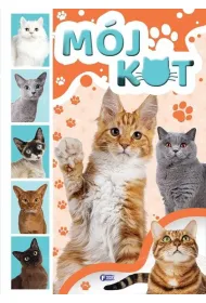 M�j kot
