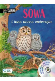 Sowa i inne nocne zwierz�ta
