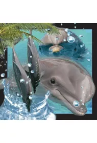 Worth Keeping Poczt�wka 3D Delfin