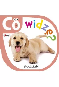Co widz� S�odziaki