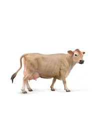 Krowa