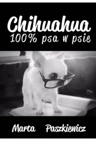 CHIHUAHUA 100% PSA W PSIE
