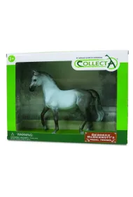 Ko� Arabian Mare Grey