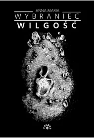 Wilgo