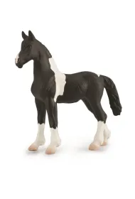 �rebi� Barcock Pinto