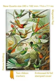 Flame Tree Notatnik quatro Kolibry Ernst Haeckel linia