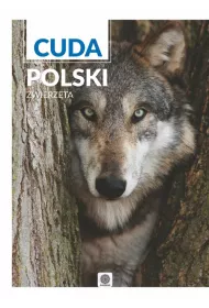 Imagne. Cuda Polski. Zwierz�ta