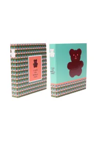 Ancor Segregator a4 2-ringowy teddy bear