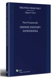 eBook Umowne podstawy zatrudnienia pdf