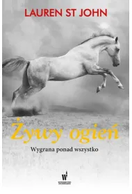 �ywy ogie�
