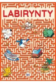 Labirynty