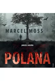 Audiobook Polana mp3