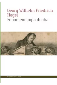 Fenomenologia ducha
