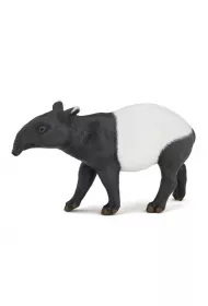 Tapir