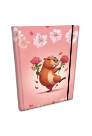 Bee-bee Notes B6 z gumk� Soft Touch Dancing Queen kratka 96 kartek