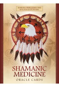 Shamanic Medicine, karty do wr�enia