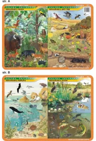 Visual System Podk�adka edukacyjna. Mieszka�cy Ba�tyku, jezior