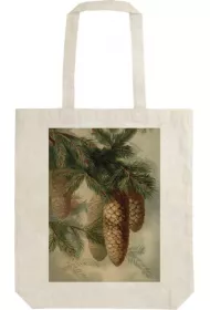 Torba baweniana STBAG 56 Szyszki jody