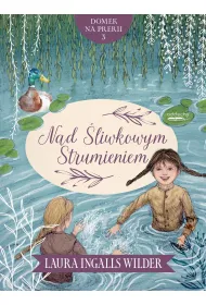 Nad �liwkowym Strumieniem