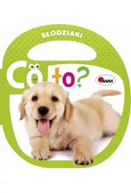S�odziaki co to