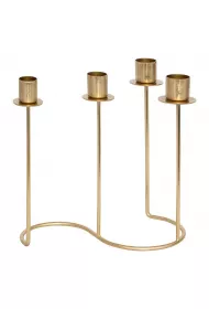 Atmosphera wiecznik czteroramienny Gold Margy