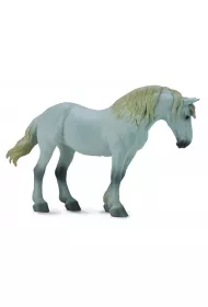 Klacz rasy Percheron Mare Grey