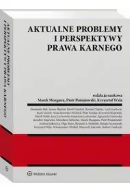 eBook Aktualne problemy i perspektywy prawa karnego pdf