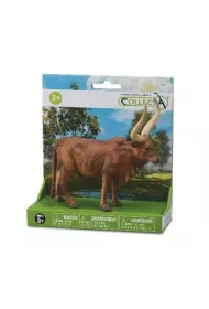 Byk Ankole-Watusi