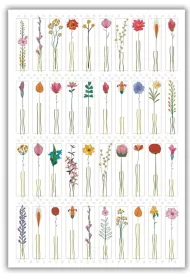 DaVinci Karnet 12x18cm + koperta Kwiaty z �odyg�