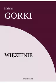 eBook Wizienie mobi epub