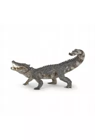 Kaprosuchus