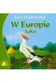 W Europie. ��ka
