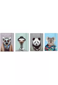 Beniamin Teczka z gumk� A4 Zoo Portraits