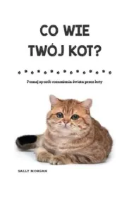Co wie twj kot?